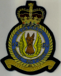 RAF BLAZER BADGE - SQNS 1 - 25